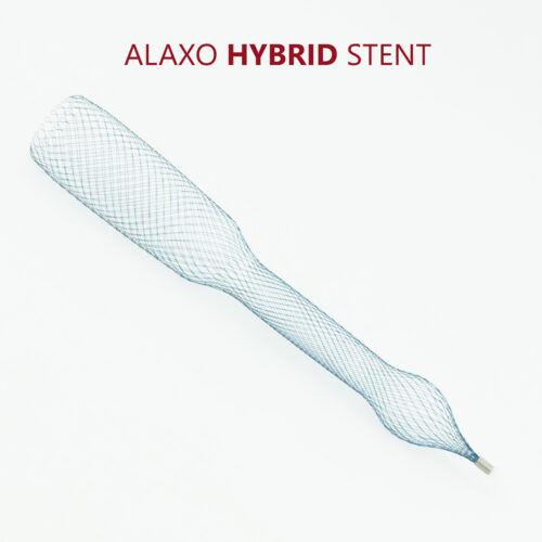 Alaxo Hybrid Stent