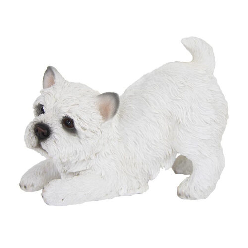 Játszó westie kutya polyresin szobor