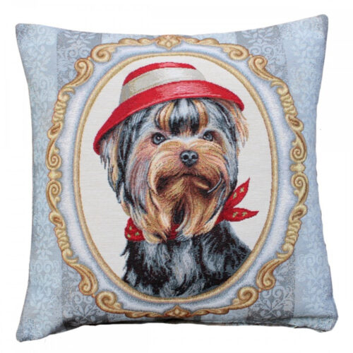 Yorkie kalapban